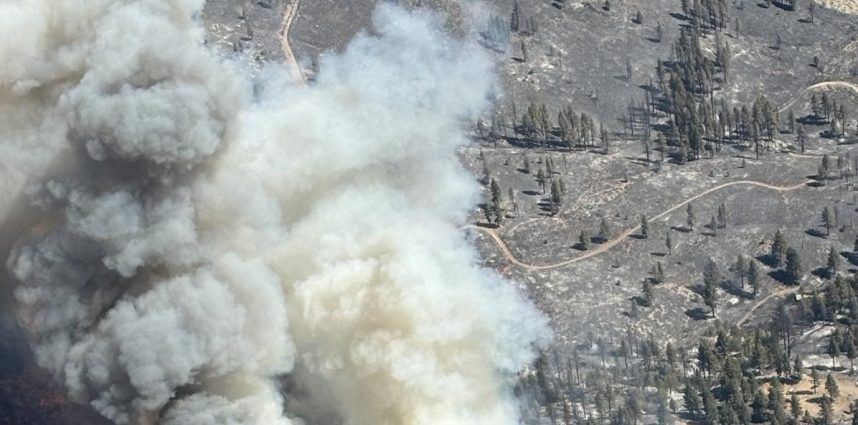 Smoke from the Davis Fire